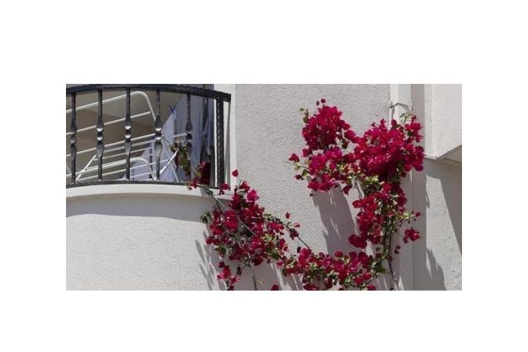 Appartements Suzana i Zlatan – foto 8