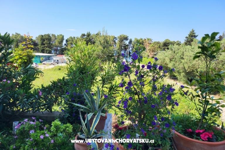 Ferienwohnungen IKO - Tučepi – foto 20