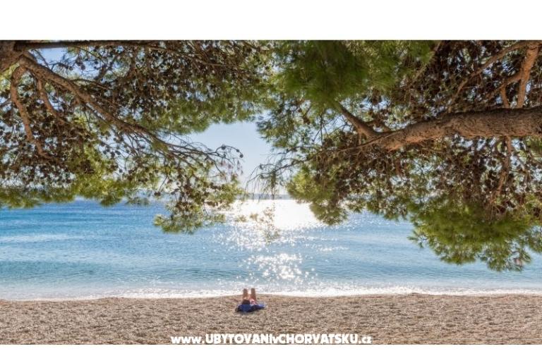 Appartements Malina i Krsto – foto 15