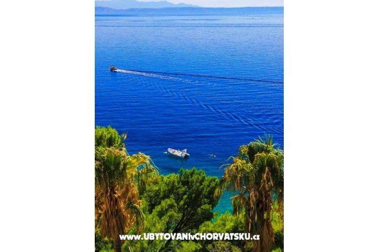 Appartements Malina i Krsto – foto 5