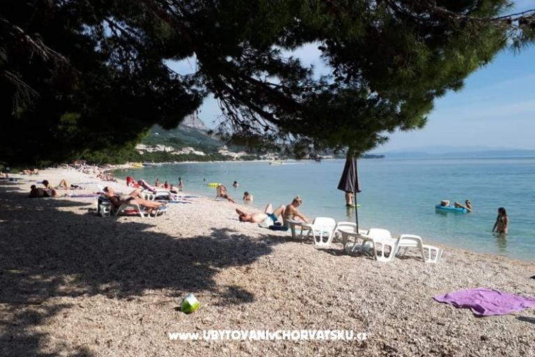 Appartements Malina i Krsto – foto 9