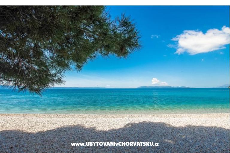 Beachfront Zimmers Ana – foto 8