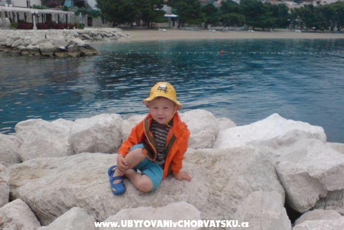 Vila Hermina – foto 4