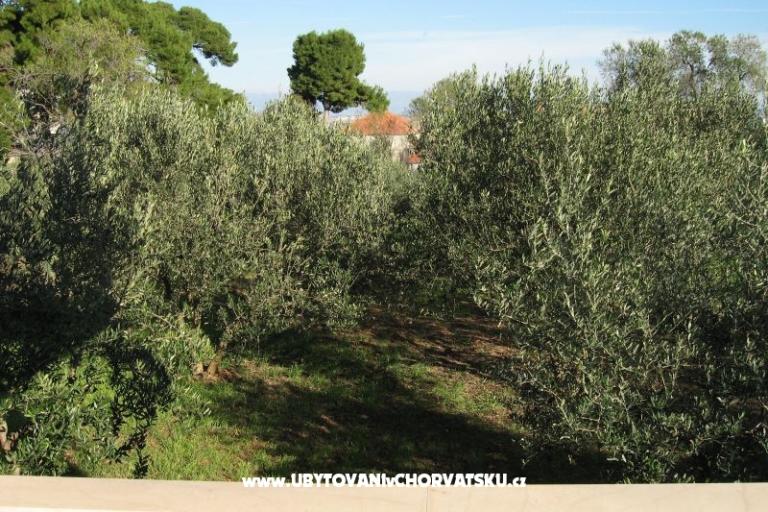 Appartements Ante – foto 2
