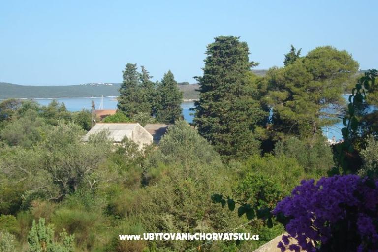 Appartements Branko Vidaković – foto 12