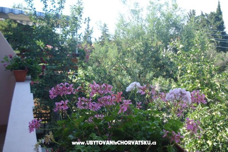 Appartements Branko Vidaković – foto 8