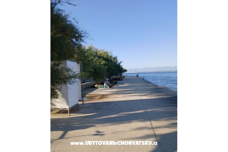 Appartements Galius Ugljan – foto 20