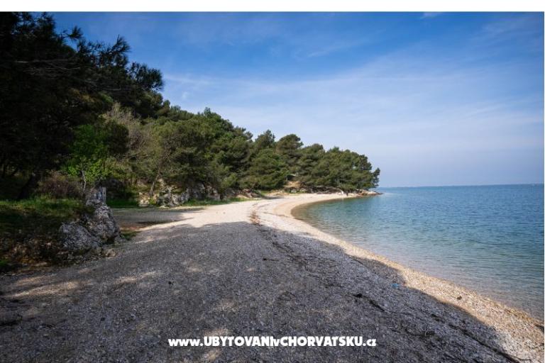 Apartma Olive garden – foto 17