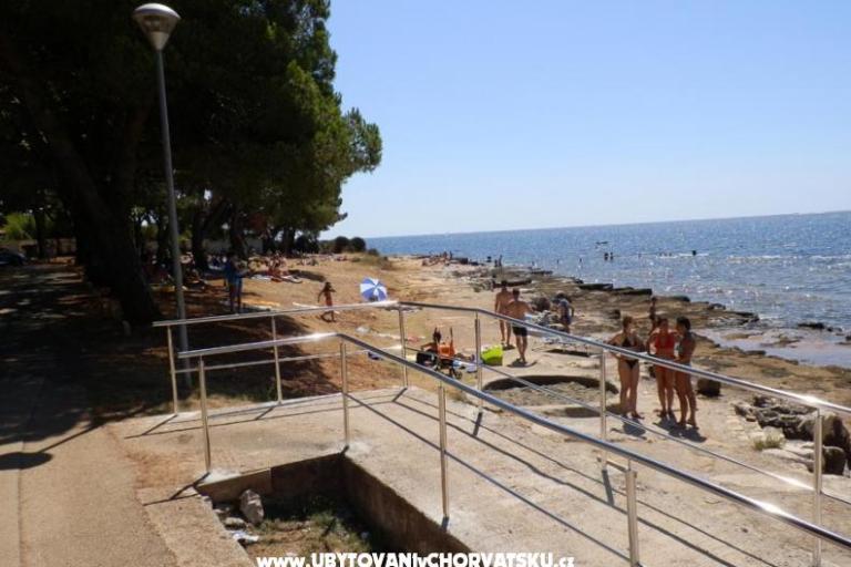 Apartment Pino Josip – foto 6