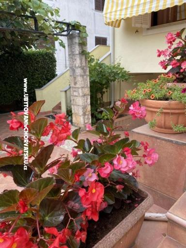 Appartements Maris  – foto 2