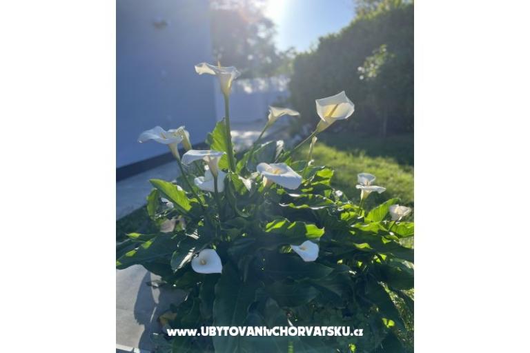 Holiday Haus Gabi – foto 18