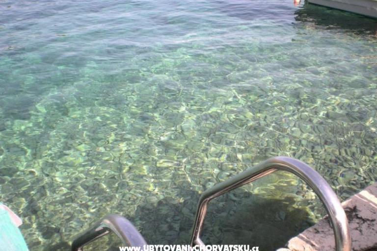 Haus Villa Rosa – foto 17