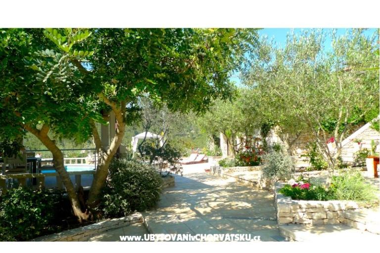 Stone house-Villa Poplat – foto 17