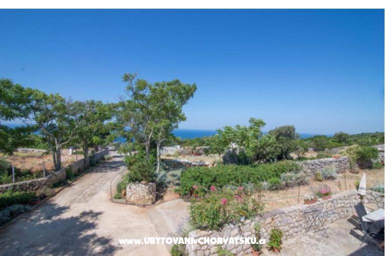 App Bonić – foto 144