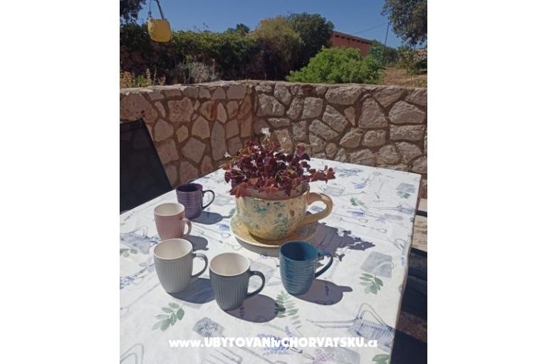 App Bonić – foto 58