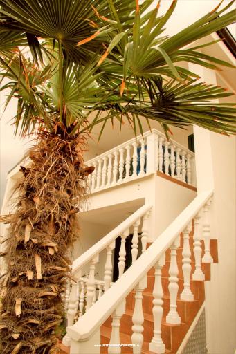 Apartment Bura – foto 3