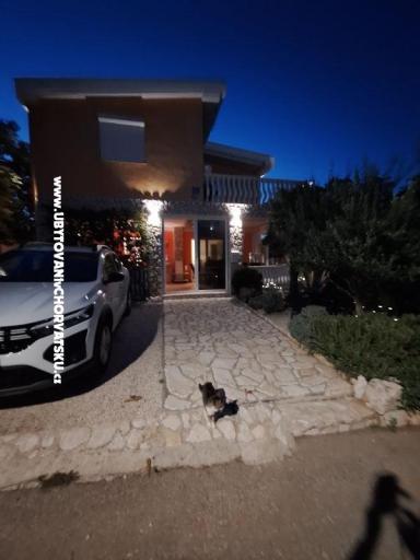 Appartements Marjanović – foto 10
