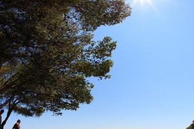 Appartements Sapavac – foto 13