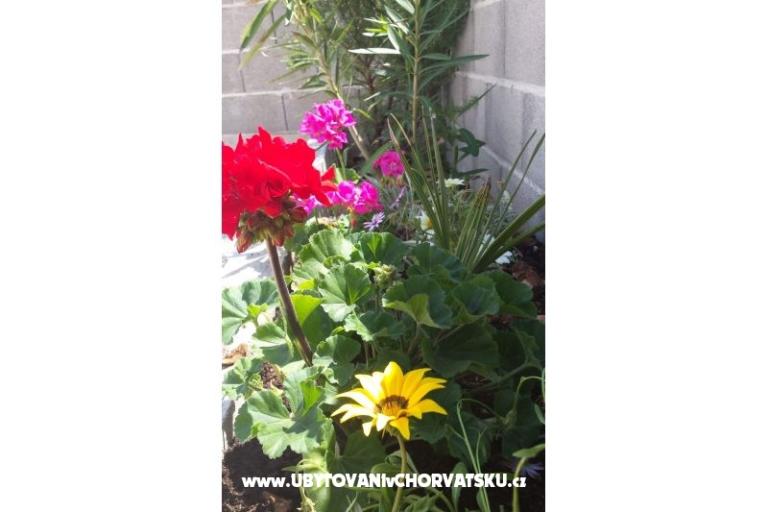 Appartements Maja – foto 14