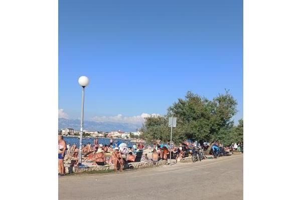 Ferienwohnungen Traum – foto 4