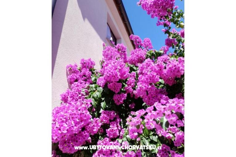 Ferienwohnungen VIR-to-all – foto 5