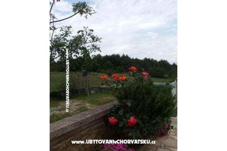 Ferienwohnungen Vlašić – foto 5