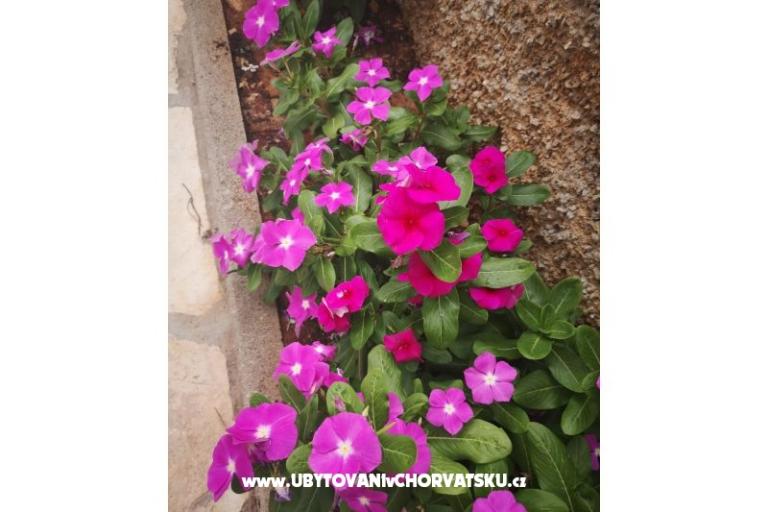 Ferienwohnungen Vlašić – foto 9