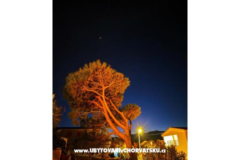 Appartements Dragicevic – foto 28