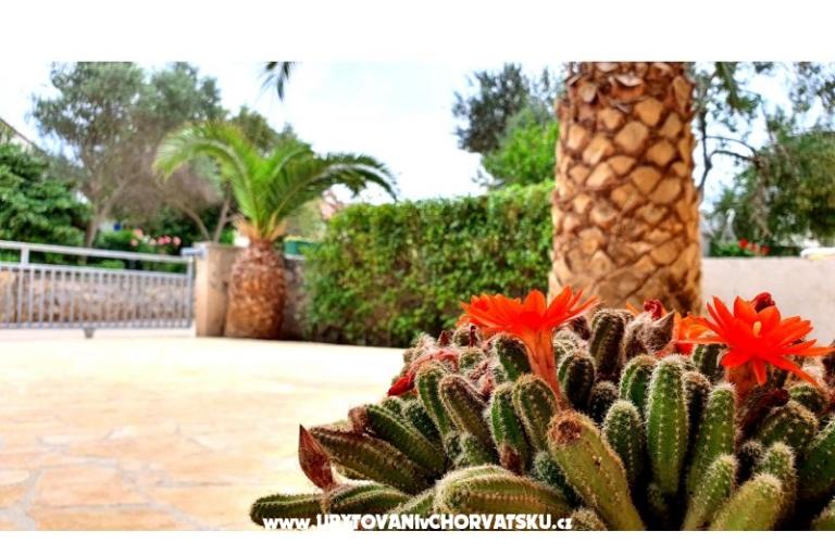 Happy Pineapple Ferienwohnungen Vir – foto 6