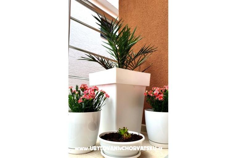 Happy Pineapple Ferienwohnungen Vir – foto 7