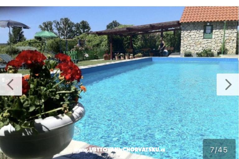 Haus Sabina – foto 43