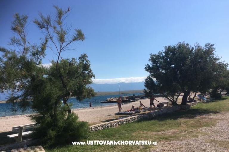 Haus Aqualis – foto 11