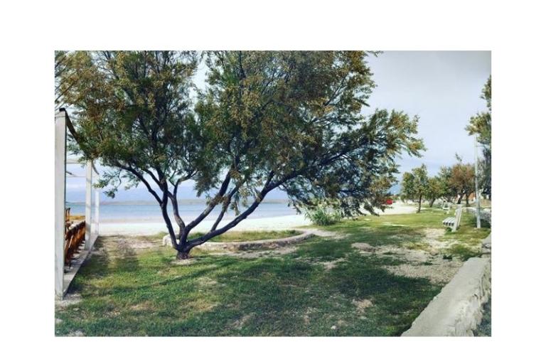 Haus Aqualis – foto 6