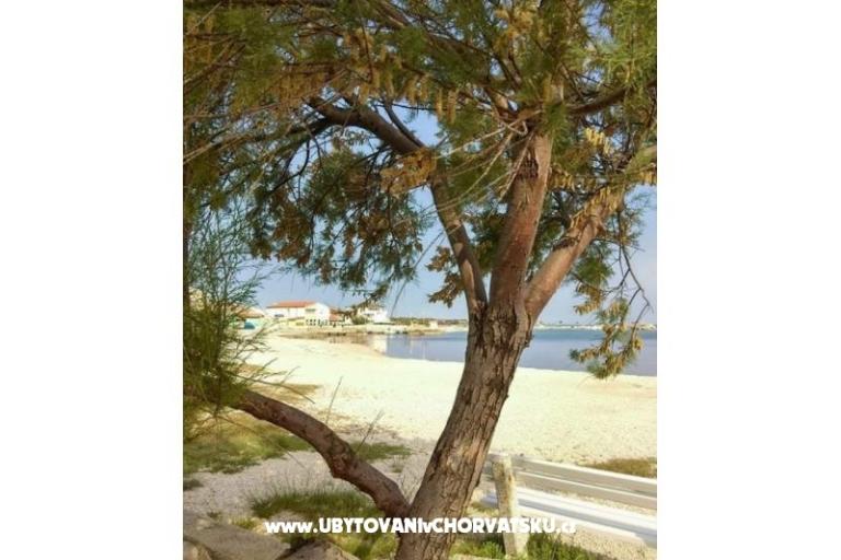 Haus Aqualis – foto 7