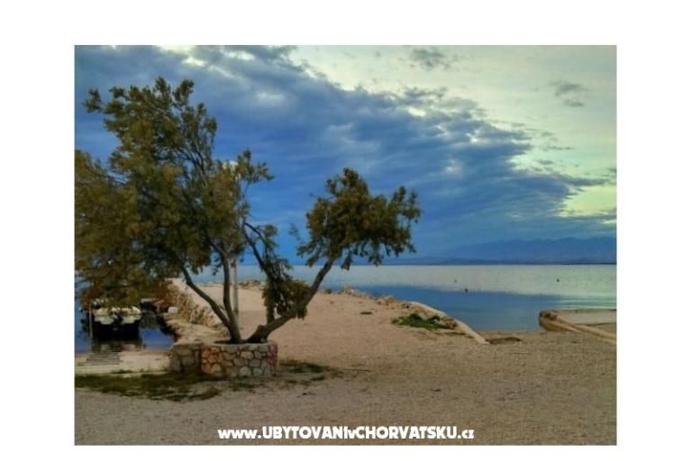 Haus Aqualis – foto 8