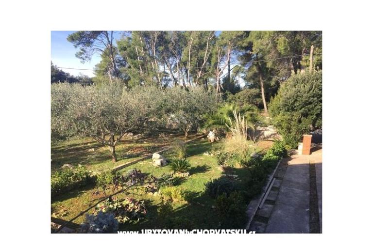 Ferienhaus Barbenjak – foto 15