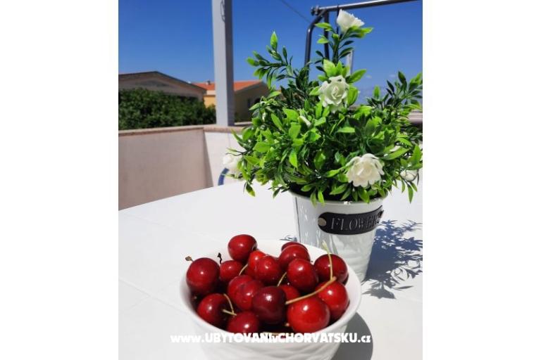 Nedić Ferienwohnungen – foto 8