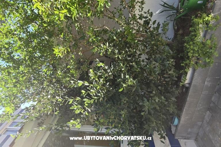 Sunset Paradise Ferienwohnungen Vir – foto 57