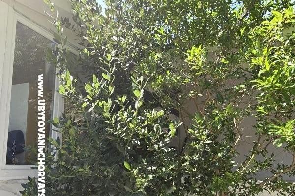 Sunset Paradise Ferienwohnungen Vir – foto 62