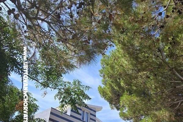 Sunset Paradise Ferienwohnungen Vir – foto 63