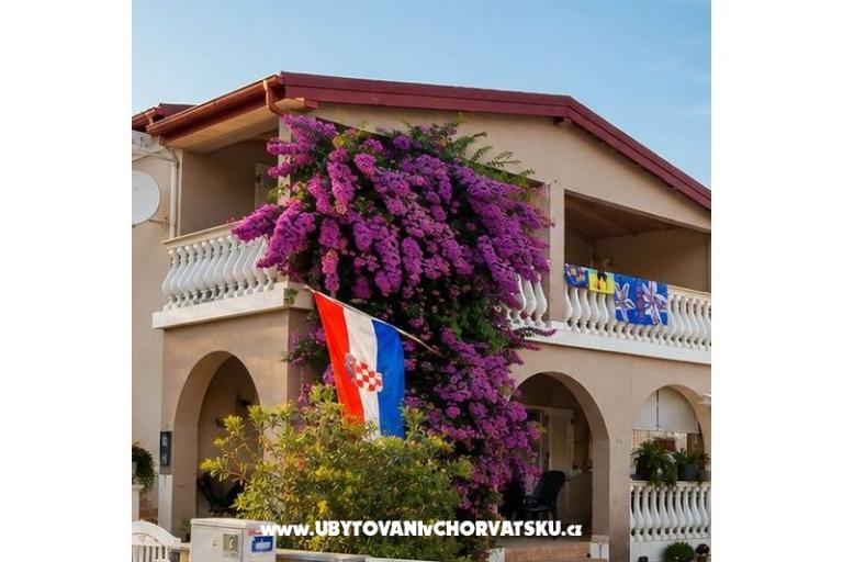 ZELIC FAMILY VIR – foto 11