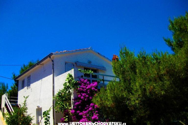 Vis Apartment – foto 6