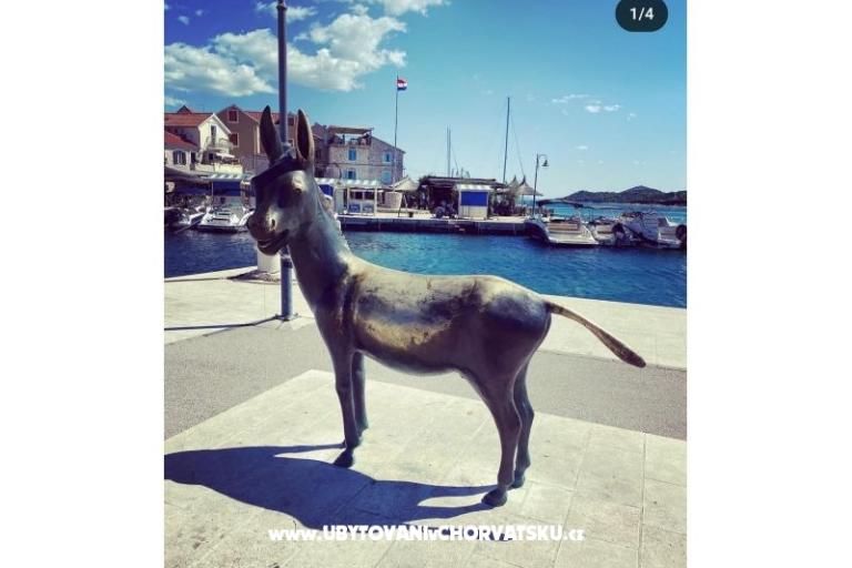 Apartment Viola – foto 24