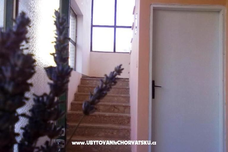 Appartements  Smokva   – foto 3