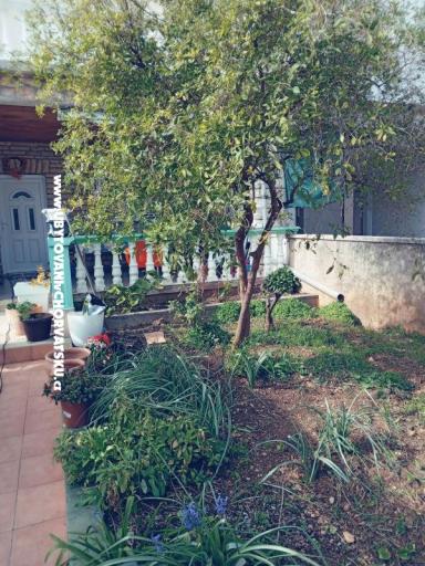 Appartements Marijana Alaga – foto 4