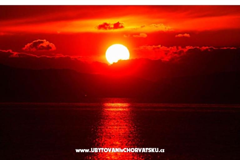 Appartements A1 – foto 15