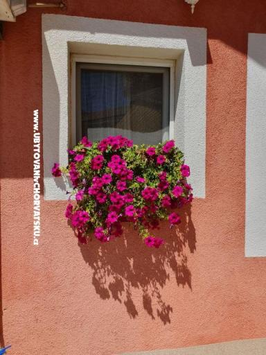 Appartements Nana – foto 17