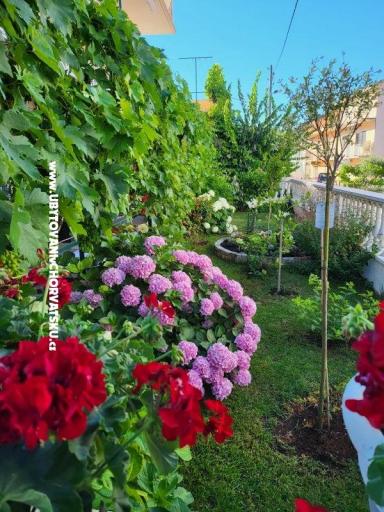 Appartements Rino – foto 35