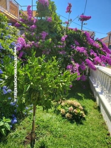 Appartements Rino – foto 36