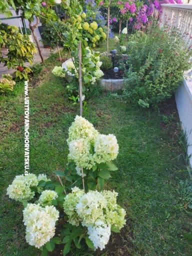 Appartements Rino – foto 37